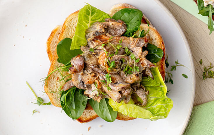 Vegomacka med svampröra och krasse - Recept | Pågen